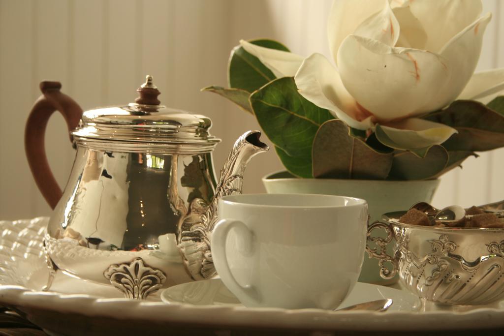Torburnlea Homestead Luxury Accommodation 넬스프리트 외부 사진