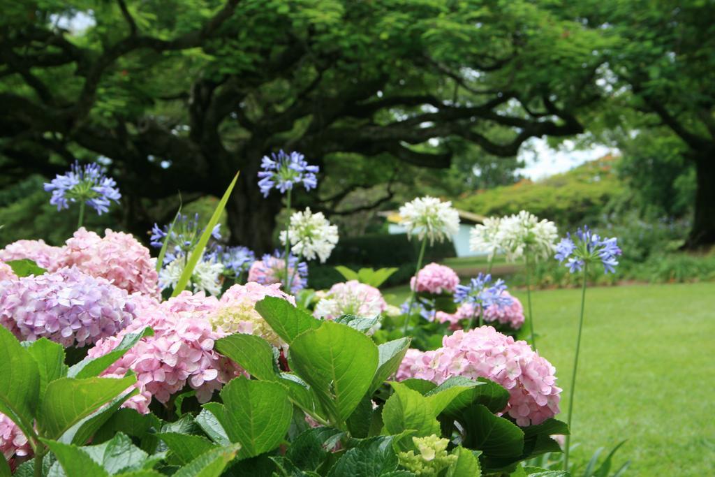Torburnlea Homestead Luxury Accommodation 넬스프리트 외부 사진