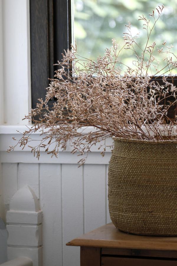 Torburnlea Homestead Luxury Accommodation 넬스프리트 외부 사진